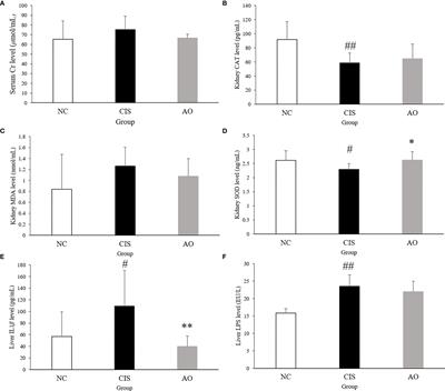 Alginate Oligosaccharide Alleviated Cisplatin-Induced Kidney Oxidative Stress via Lactobacillus Genus-FAHFAs-Nrf2 Axis in Mice